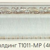 T1011-MP