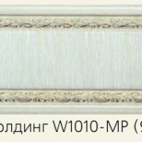 W1010-MP